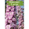 Саженцы дельфиниума Центурион Пинк (Centurion Pink) -  5 шт.